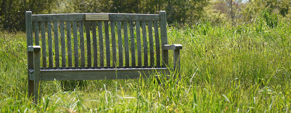 Bench on a trail that circles the field at North River Wildlife Sanctuary