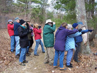 Group birding at Mass Audubon North River Wildlife Sanctuary