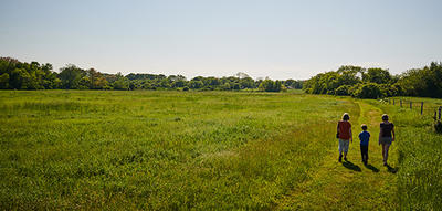 Family on a trail next to a meadow in summer at North River Wildlife Sanctuary