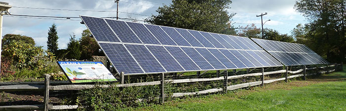 Ground mounted solar array at Mass Audubon North River Wildlife Sanctuary