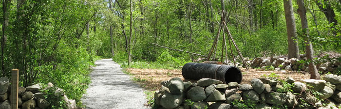 Nature Play area at North River © Rosemary Mosco, Mass Audubon
