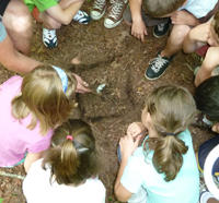 School group with a naturalist at their school