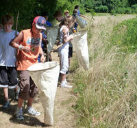 Scouts looking for butterflies at North River Wildlife Sanctuary