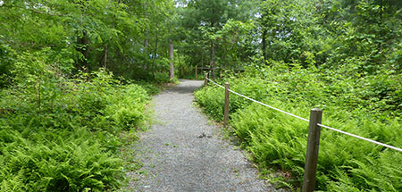 Sensory Trail at North River Wildlife Sanctuary