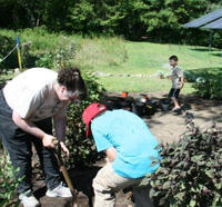 Homeschoolers helping in the garden at Oak Knoll Wildlife Sanctuary