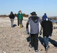 Schoolgroup walking on the beach