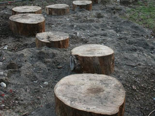 Stump jump at the Oak Knoll Wildlife Sanctuary nature play area