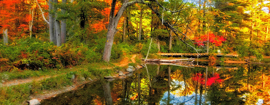 Fall foliage at Pleasant Valley Wildlife Sanctuary © Brooks Payne
