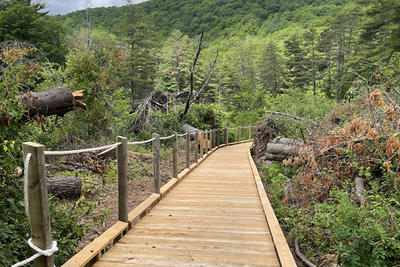 Pleasant Valley Boardwalk