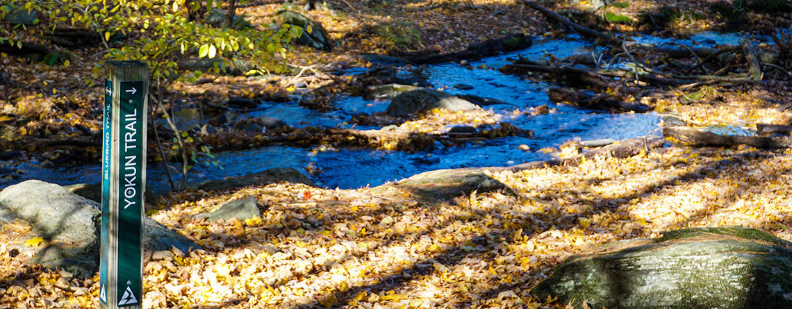 Yokun Trail sign in early fall at Pleasant Valley Wildlife Sanctuary © Cristina Cacciatore