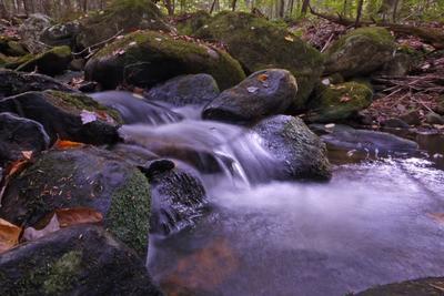 Flowing stream at Richardson Brook Wildlife Sanctuary