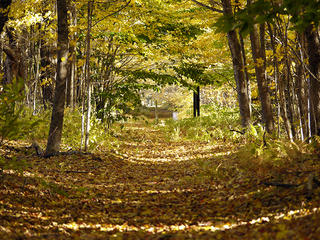 Road's End Wildlife Sanctuary