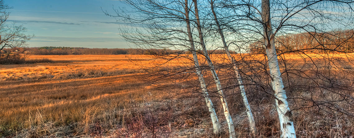 Winter fields at Rough Meadows Wildlife Sanctuary © Paul Mozell