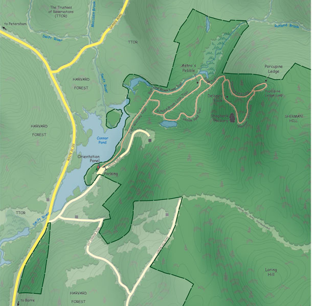 Trails in Petersham, Massachusetts