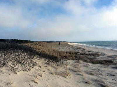 Sampsons Island © Ellen Jedry