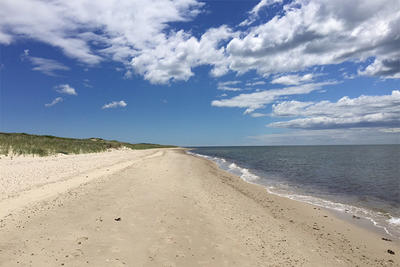 Sandy beach at Sampsons Island Wildlife Sanctuary