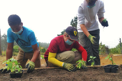Youth volunteers help plant seedlings at Nantucket Sanctuaries