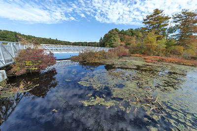 Boardwalk section in late summer at Stony Brook Wildlife Sanctuary