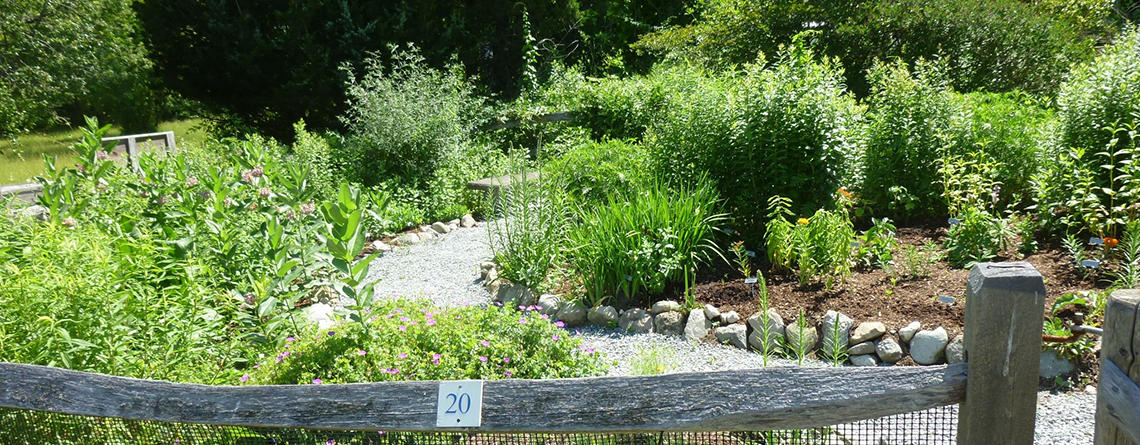 Butterfly Garden at Stony Brook © Garden Club of Norfolk