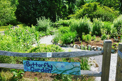 Butterfly Garden at Stony Brook © Garden Club of Norfolk
