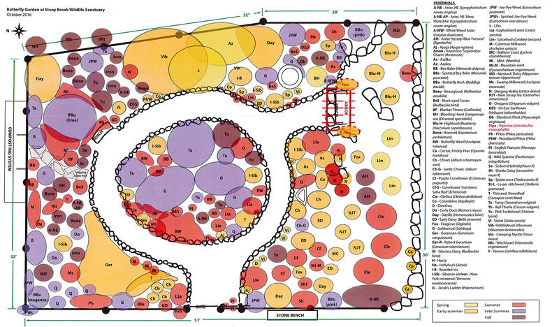 Plant species map of the Butterfly Garden at Stony Brook