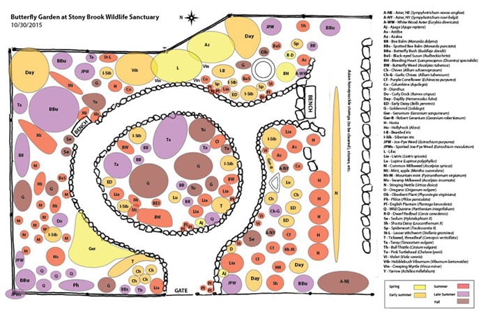 Butterfly Garden