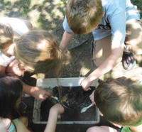 Preschool children looking in a pond bucket at Stony Brook Wildlife Sanctuary