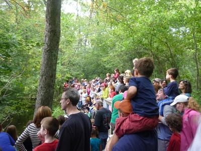 Annual Wood Duck Derby