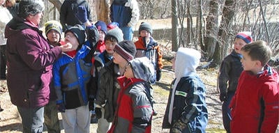 Stony Brook Wildlife Sanctuary
