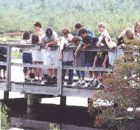 A School group on a wooden foot bridge