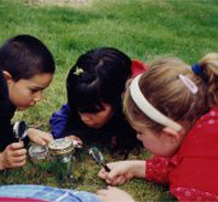 School kids observing with magnifying glasses at Stony Brook Wildlife Sanctuary