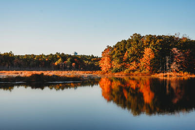Fall foliage is perfectly reflected on the water at Stony Brook Wildlife Sanctuary in Norfolk