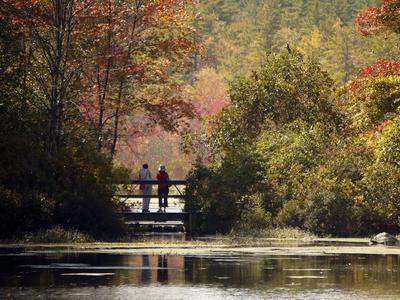 Stony Brook in the Fall