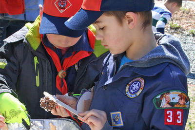 Boy Scout troop at Tidmarsh