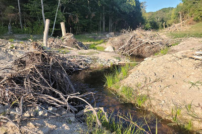 Progress in re-establishing a free-flowing West Beaver Dam Brook