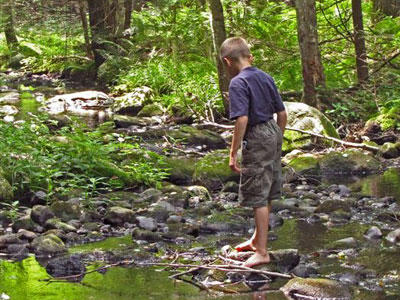 Boy walking in a stream at Wachusett Meadow Wildlife Sanctuary