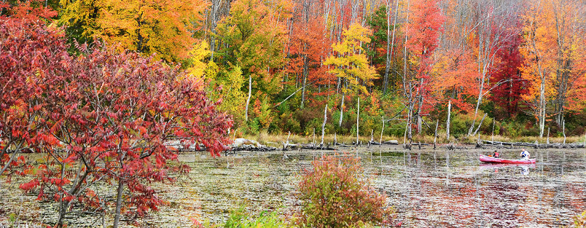 Canoeing in autumn at Wachusett Meadow Wildlife Sanctuary © Richard Welch