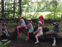 Kids on a log in nature play area
