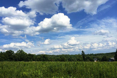 North mowing at Wachusett Meadow © Chris Downs