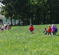 Preschool students in a field at Wachusett Meadow Wildlife Sanctuary