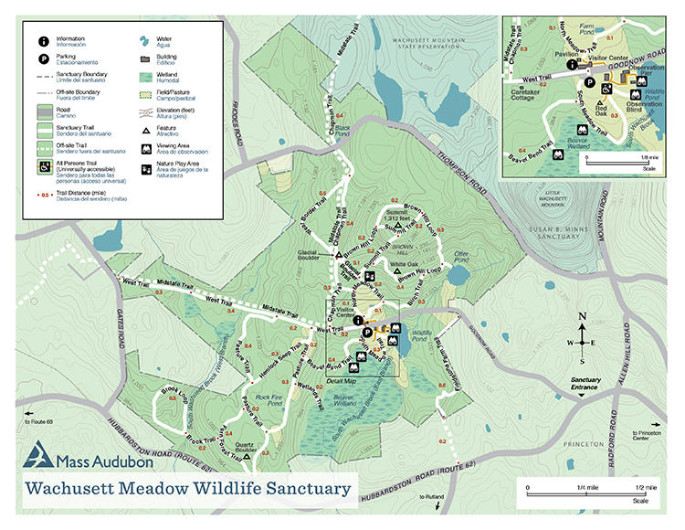 Wachusett Meadow Trail Map in full color