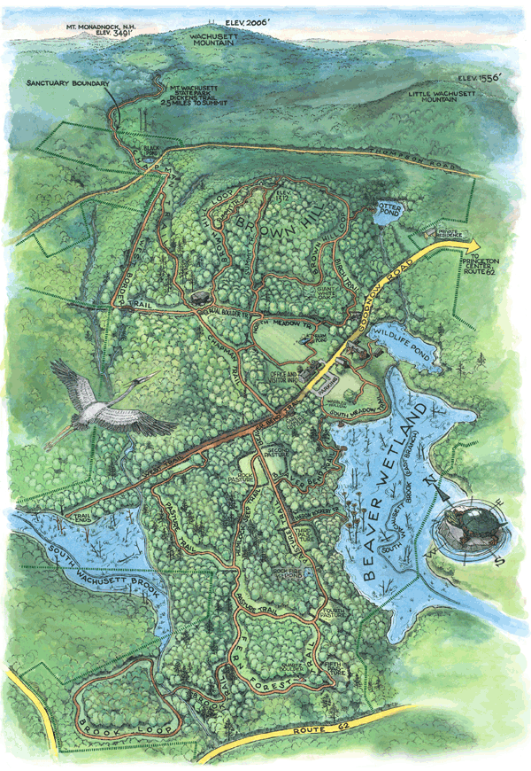 Trails in Princeton, Massachusetts