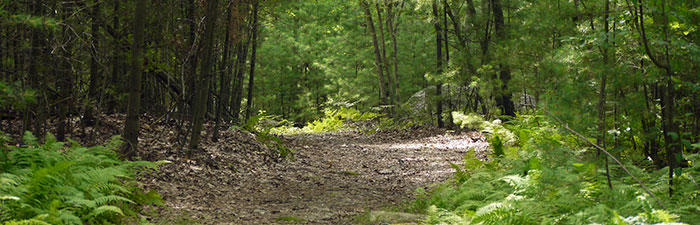 Trail at Waseeka Wildlife Sanctuary