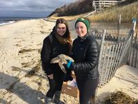 Abby and Alex with a rescued ridley-Reduced