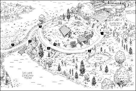 Wellfleet Bay Sensory Trail Map Small