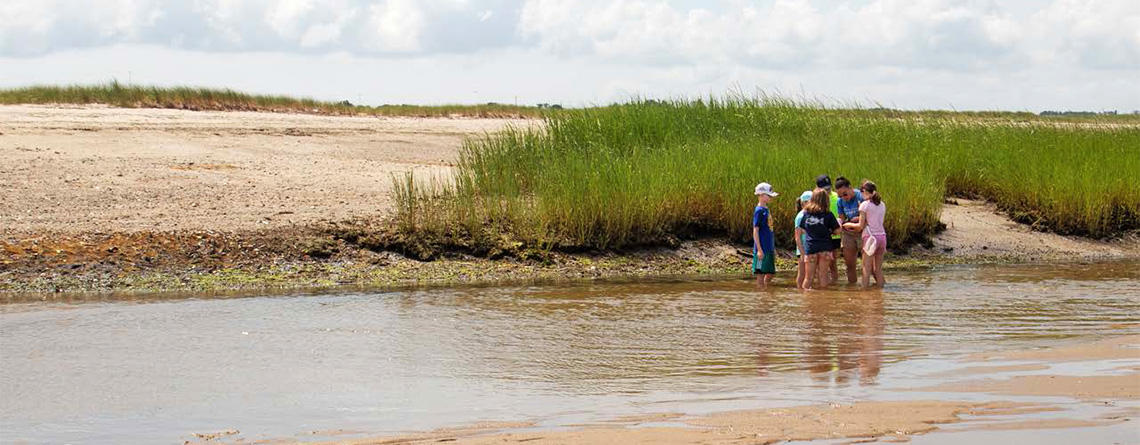 Campers exploring Wellfleet Bay's salt marsh with their counselor