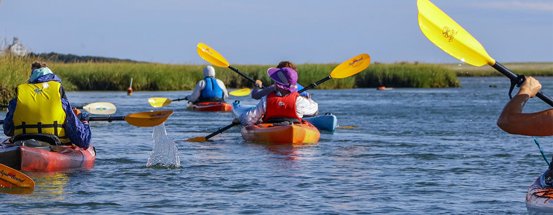 Cape Cod Field School kayaking group