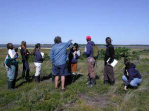 College Program in the salt marsh
