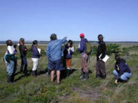 College Program in the salt marsh