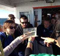 A group program on a boat trip